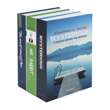 Secureo Buchtresor XL